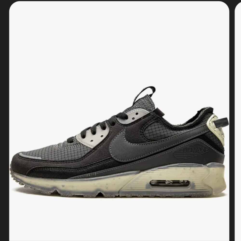 Nike Terrascape Air Max